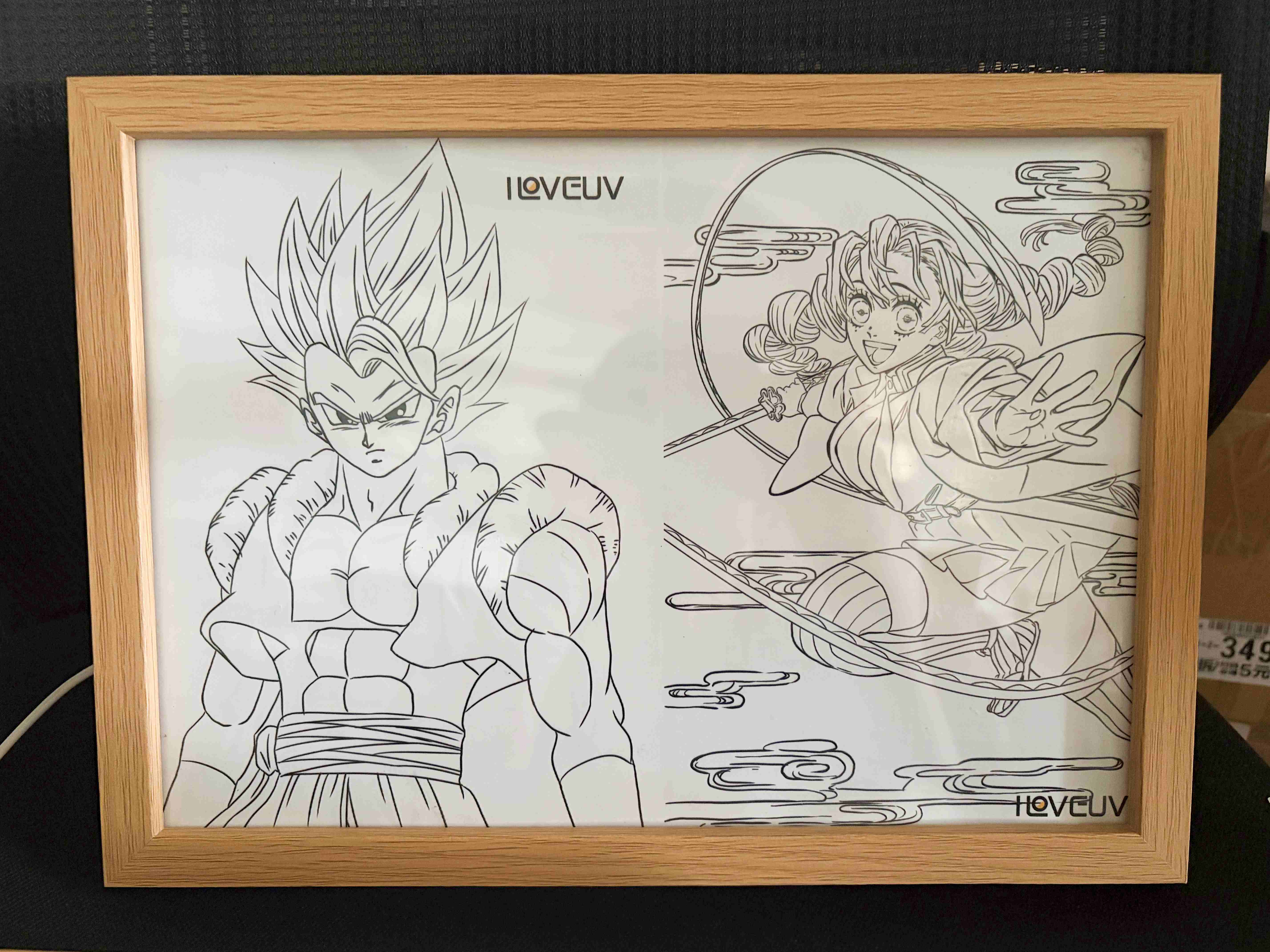 UV-Printed Lightbox Display Art – Vivid, Dynamic